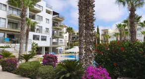 Danaos Nava - Image 3