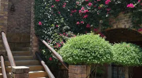 Bastille de Blignaut B&B - Image 3