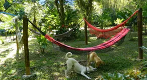 Bicho do Mato Suites - Image 2