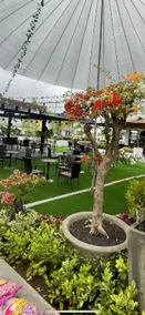 Casa Familia Hotel - Image 4