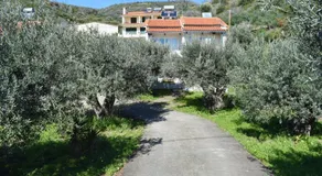 Concert Apartments, Seaside Stay in Kochyli, Limni Evia - Image 5