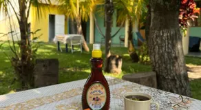 El Paraíso Hotel - Image 5