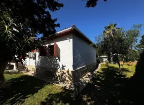 Casa Carla in Can Picafort - Image 4