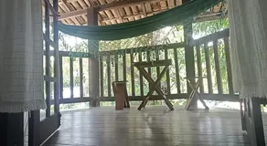 MangoBrazil - Image 3