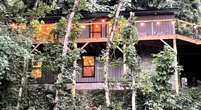 The Little Lake House-Wooded Retreat, King Bed, Fiber WiFi, 1 Min to Lake - Image 4