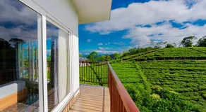 Vagamon Springs - Image 2