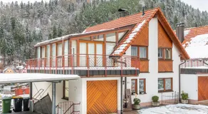 Schwarzwald Nescht Triberg - Image 5
