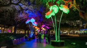 Wine Themed Living! Near NRG! Elegant Stay - Image 5