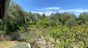Studio Pavlos - Image 3