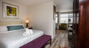 One Bedroom Apartment with Luxurious Furnitures - Image 2