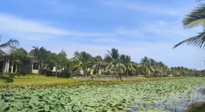 Bin Bin Coastar Villa Hồ Tràm - Image 2