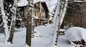 Świnna - Brzozowy Zagajnik - Image 2