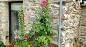 L'Etable - Image 4