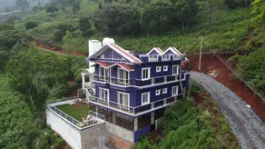 BLUE MOUNTAIN BEAUTY - Image 3