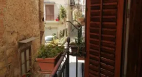 Tomicla - Image 3