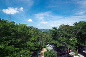 Owl forest B&B - Image 4