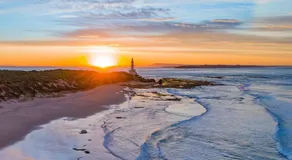 Beach Bach - Image 5