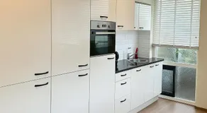 Reza Almere - Image 4