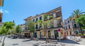 Hort de Can Bou - Image 5