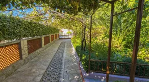 Apartments Pavlina - Image 5