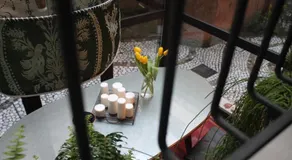 Little Garden - Image 5