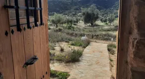 Campo Golden Heritage OFF GRID - Image 2