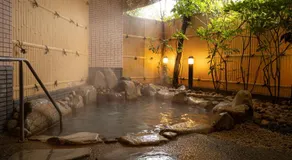 Nakatsugawa Onsen Hotel Hanasarasa - Image 5