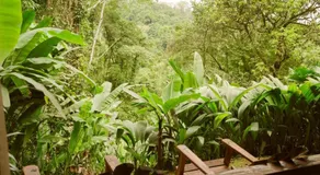 Amazonita Ecolodge - Image 3