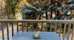 Letterkenny Cabin - Image 5