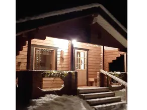 Pikkupöllö - Image 2