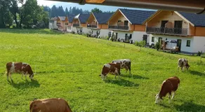 Rattendorf 23A - Image 2