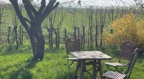 Ferienwohnung Storchenwiese im Fränkischen Seenland - Image 4
