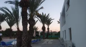 Argaka Palm Tree Apts - Image 3