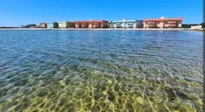 Golden entre o mar e lagoa - Image 5