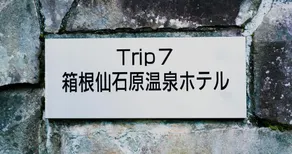 Trip7箱根仙石原温泉ホテル - Image 3