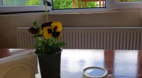 Guesthouse Daeli in Svaneti - Image 4