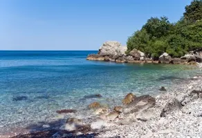 Ruza vetrova - Image 1