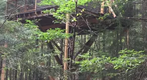 cabane de l'Ecureuil - Image 4