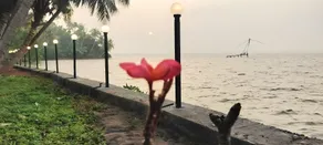 Blue Lagoon Resort (Sambranikodi) - Image 3