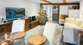 Elegant Lake Zurich House with Stunning Views and Private Terrace - Image 3