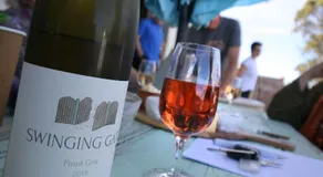 Domescapes in the Vines - Image 5