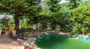 Villa Amber - Image 3