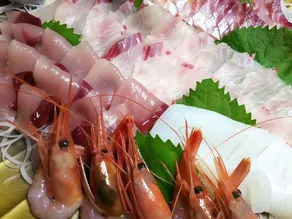 Matsuoka - Image 5