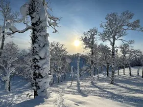 Private Mountain Villa in Niseko | Nordic Sauna & Minutes to Ski Resorts | Newly Built 2026 - Image 2