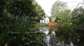de Witte Wolk - Image 4
