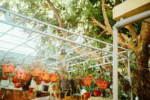 Homestay Vườn nhãn - Image 1