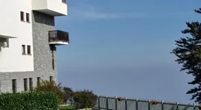 Panoramic Eagle - Image 4