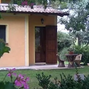 Agriturismo le Spighe - Fattoria Bertaccini - Image 2
