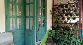 Osaree Agro and Art Hub - Image 4