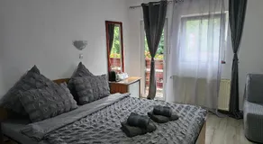 Villa Foisor - Image 2